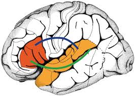 සත්‍යාවබෝධයට පියගැට පෙළක් 22.